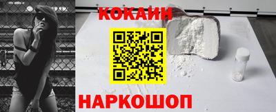 PSILOCYBIN Гатчина
