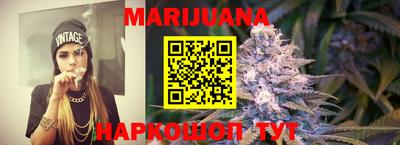 PSILOCYBIN Гатчина