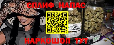 PSILOCYBIN Гатчина